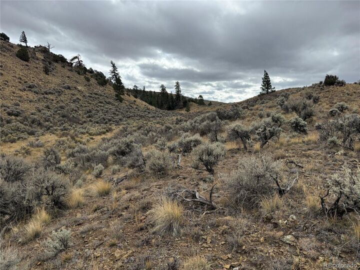 Property Photo:  133 Griffiths Dr  CO 81133 