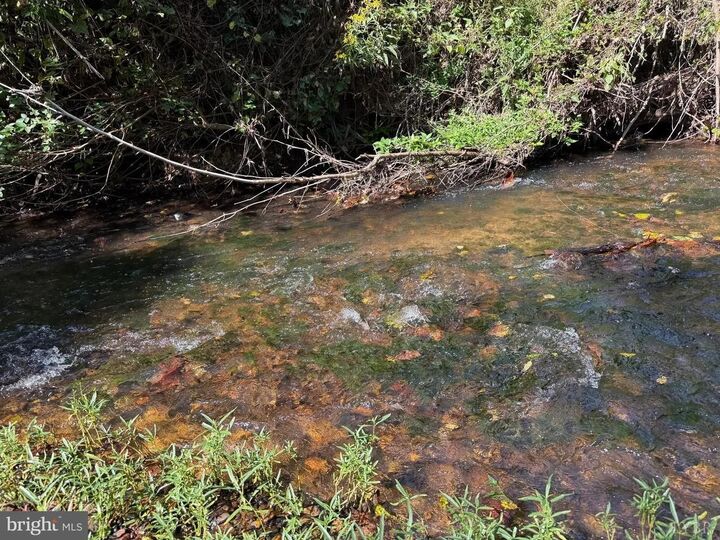 Property Photo:  0 Coleman Mountain Road  VA 24522