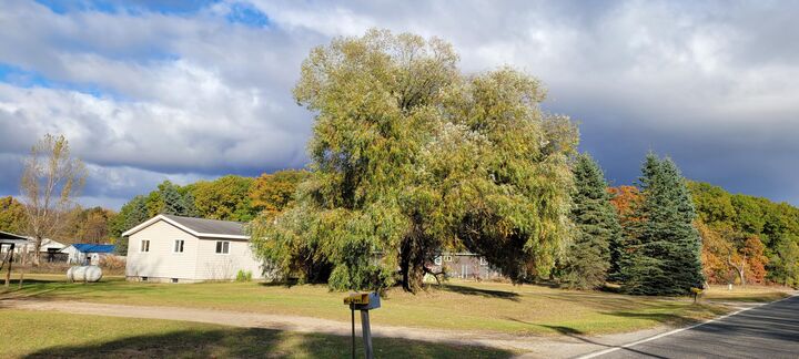 Property Photo:  8570 E Hawley Road  MI 49421 
