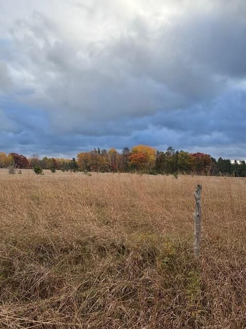 Property Photo:  Tbd Lot C Gunpowder Road  MN 56465 