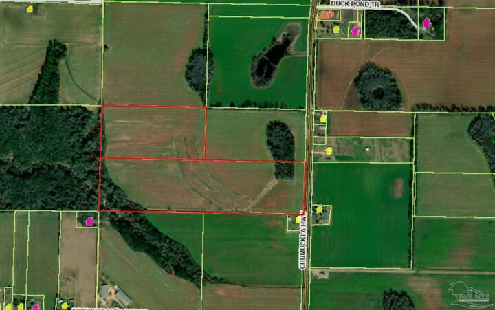 60 Acres Chumuckla Hwy  Jay FL 32565 photo