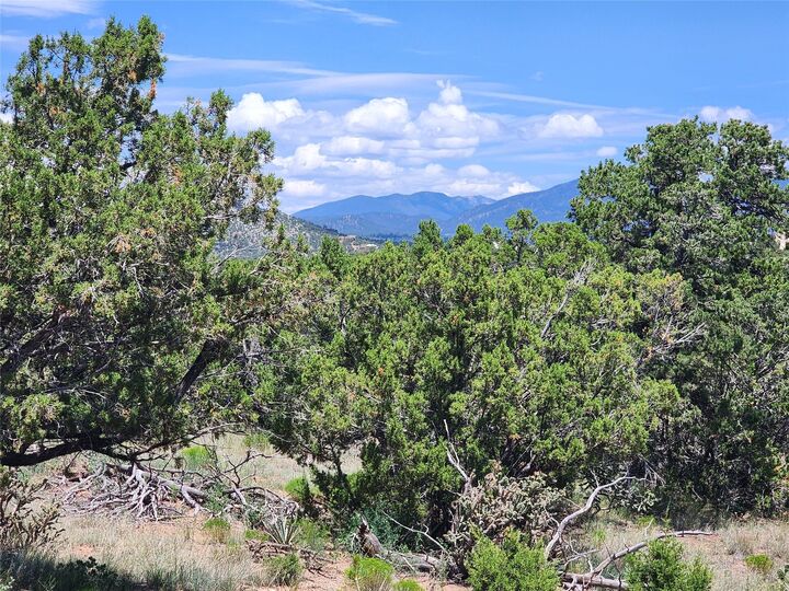 Property Photo: 12 Goathead Ct NM 87508