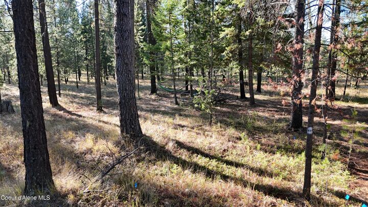 Property Photo:  31550 Highway 41  ID 83804 