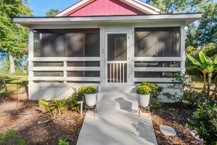 Property Photo:  217 Savage Street  SC 29488 