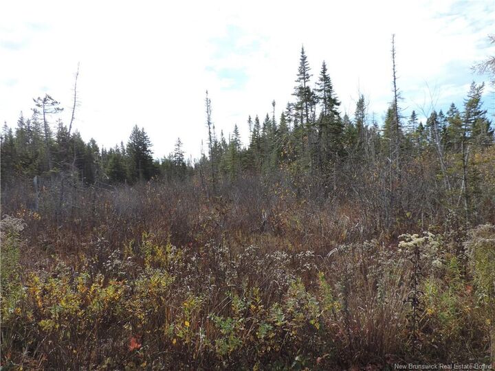 - Old Gardner Creek Road — photo 1