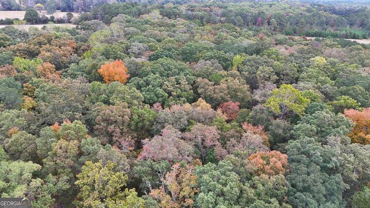 Property Photo:  12895 Highway 36  GA 30014