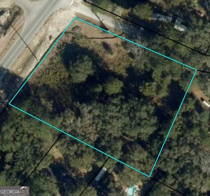 Property Photo:  116 Smith Road  GA 31522 