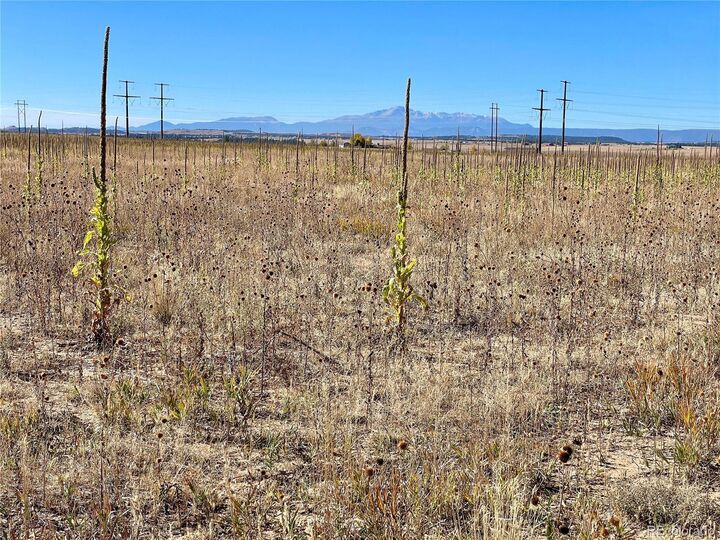 Property Photo:  3 County Road 98  CO 80106 