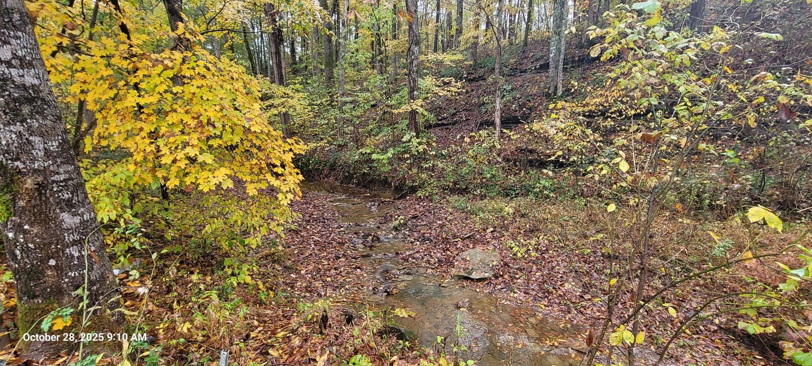 Property Photo: 1121 Breeding Road KY 42129
