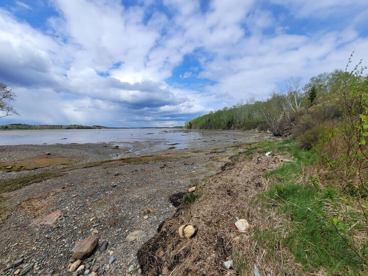 Property Photo:  29 Reef Point Road  ME 04606 