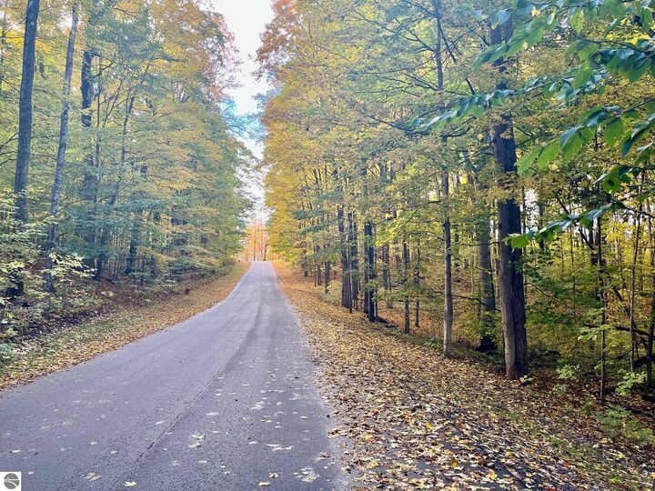 Property Photo:  V/L 51 Troon South  MI 49615