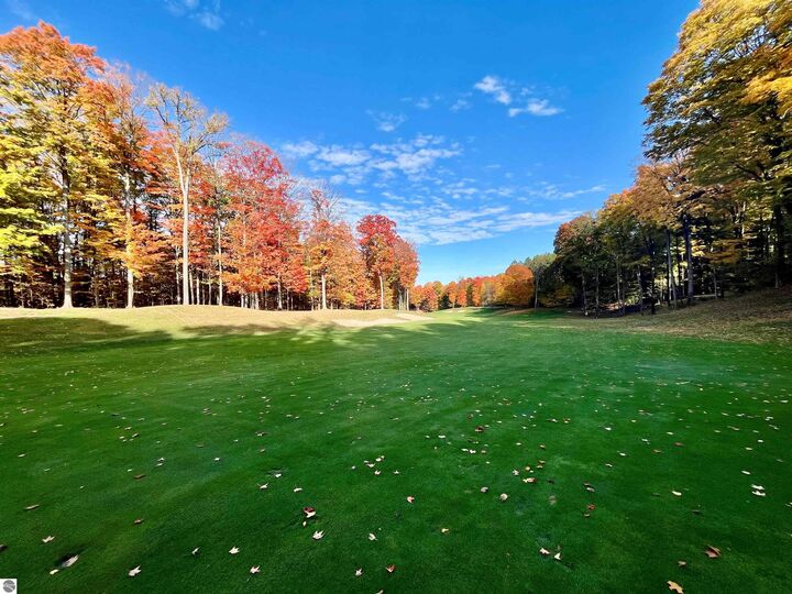 Property Photo: V/L 51 Troon South MI 49615