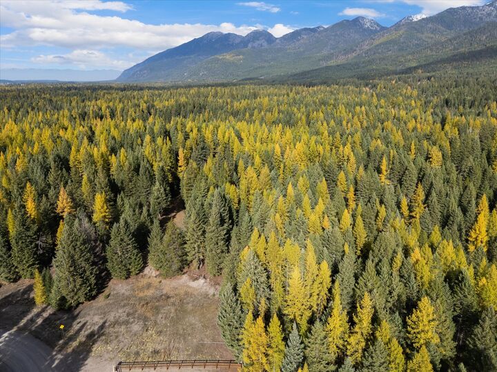 Property Photo:  155 Spotted Fawn Lane  MT 59901 