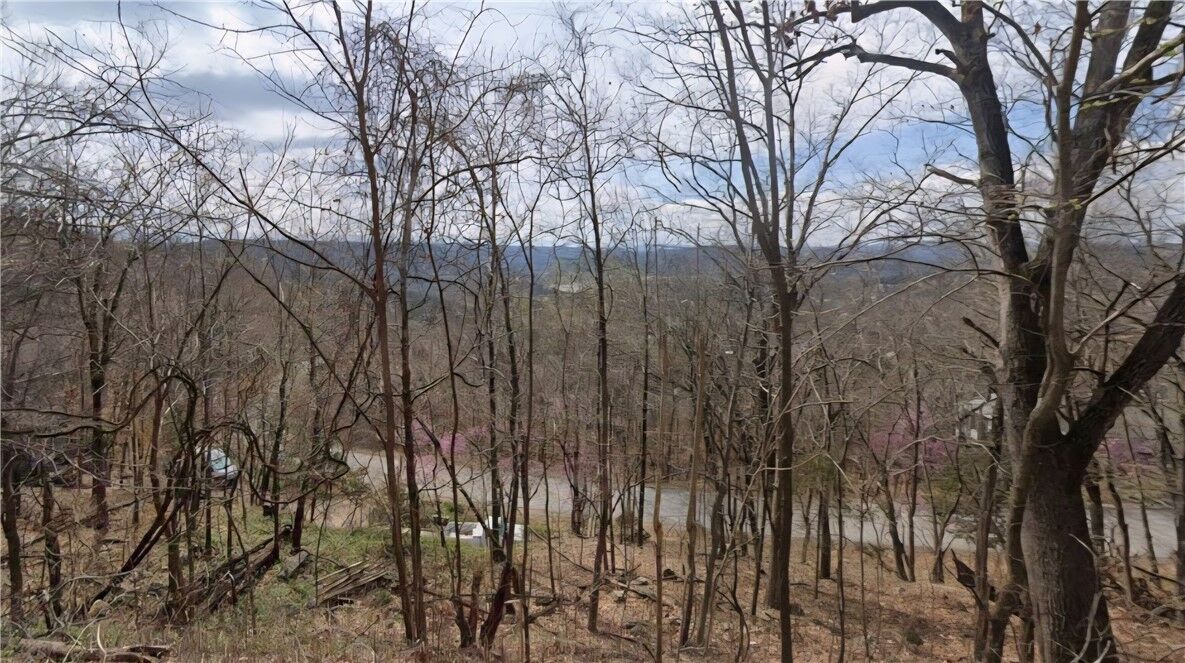 Property Photo:  296 Holiday Island Drive  AR 72631 