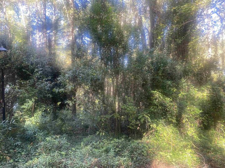 Property Photo:  2712 Brenner Pass  FL 32303