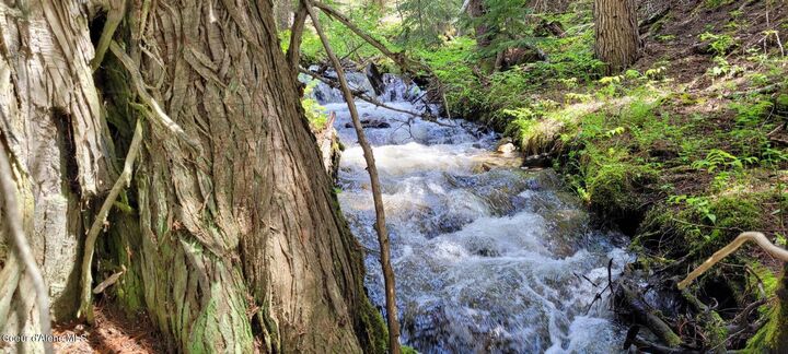 Property Photo: 574 Poco Lobo Rd MT 59935