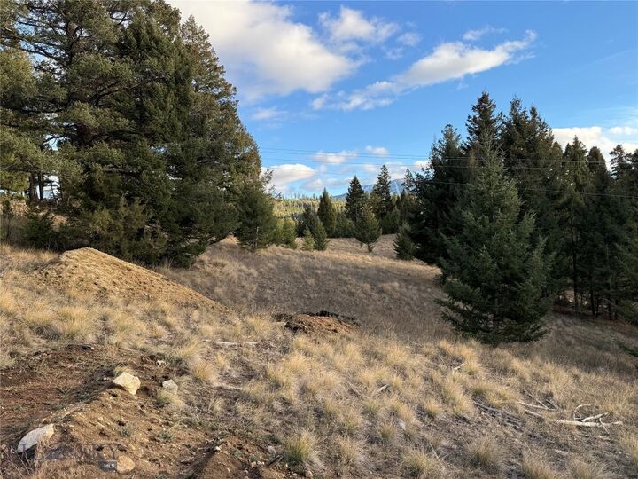 Property Photo:  Lot 3 Scranton Lode  MT 59858 