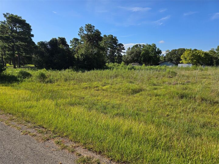 Property Photo: Lot 9 Lewis Creek Circle TX 77318