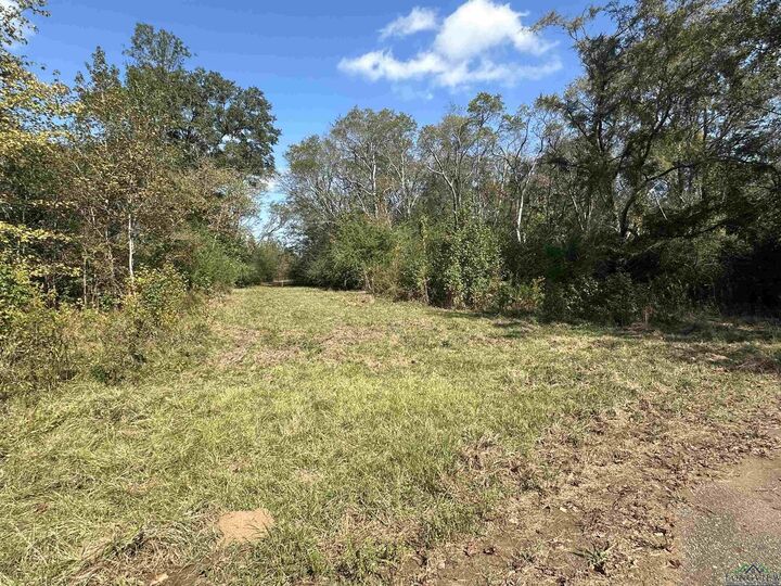 Property Photo:  Tbd Fm 124  TX 75631 