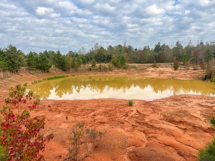 Property Photo: 000 County Road 2367 Bethlehem Cemetery Rd. TX 75566