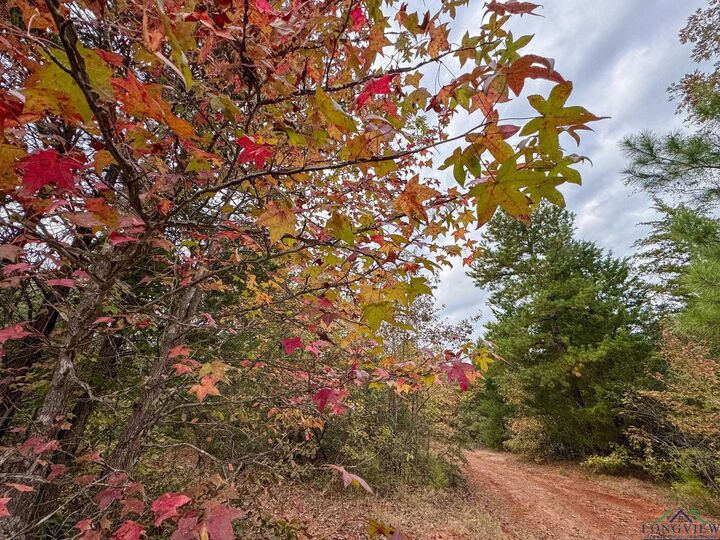 Property Photo:  000 County Road 2367 Bethlehem Cemetery Rd.  TX 75566 
