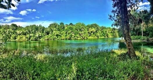 Property Photo: 21956 SW 85th Loop FL 34431