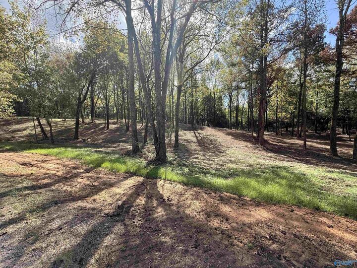 Property Photo:  #12A County Road 1123  AL 35179