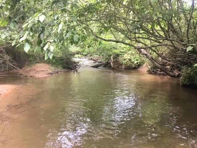 Property Photo:  4910 Nc Hwy 60  NC 28906