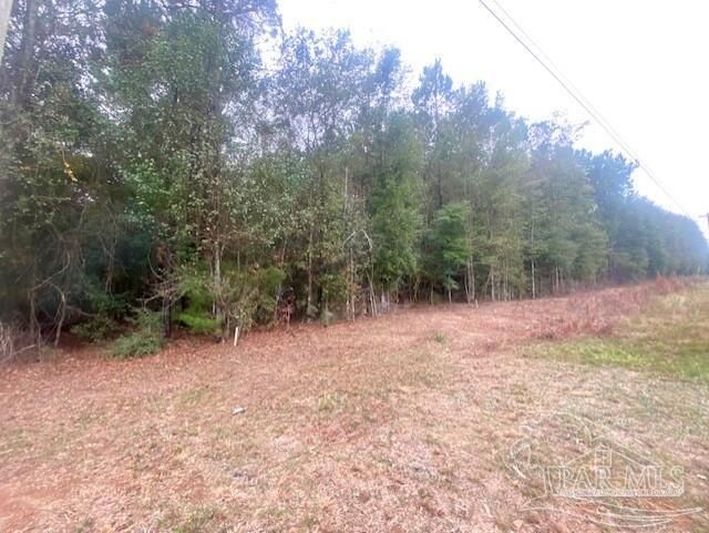 Property Photo:  8 Acres Hwy 4  FL 32565
