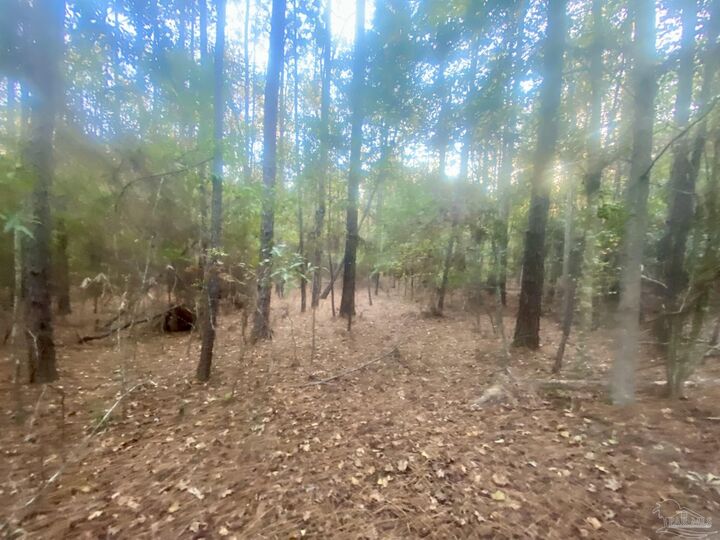 Property Photo: 8 Acres Hwy 4 FL 32565