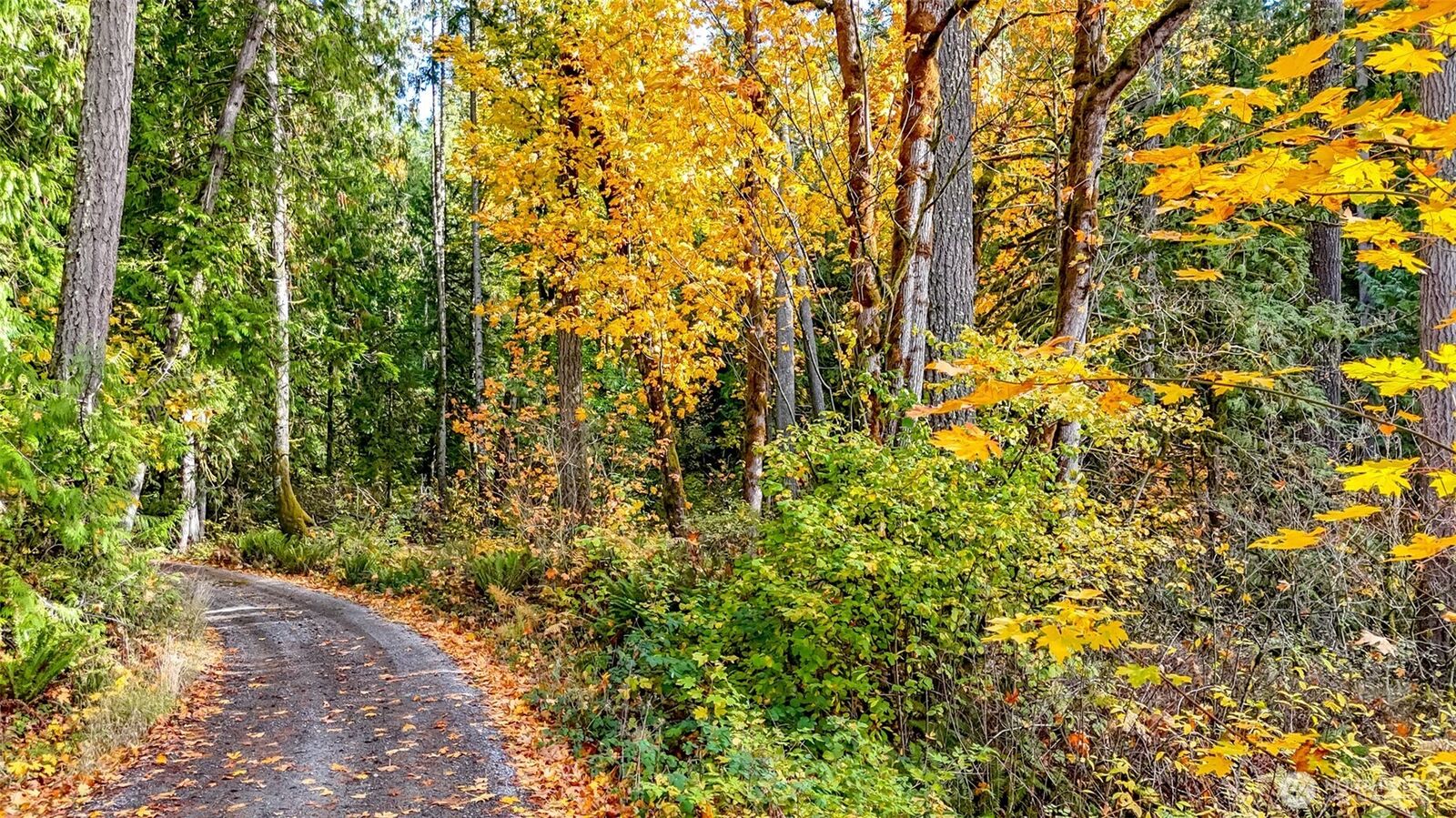 Property Photo:  18313  Patterson Road E  WA 98360