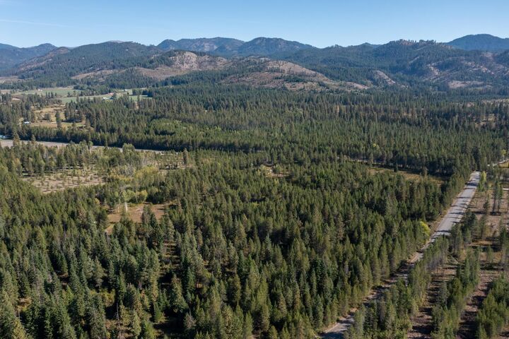 Property Photo:  54 Lenora Dr  WA 99180