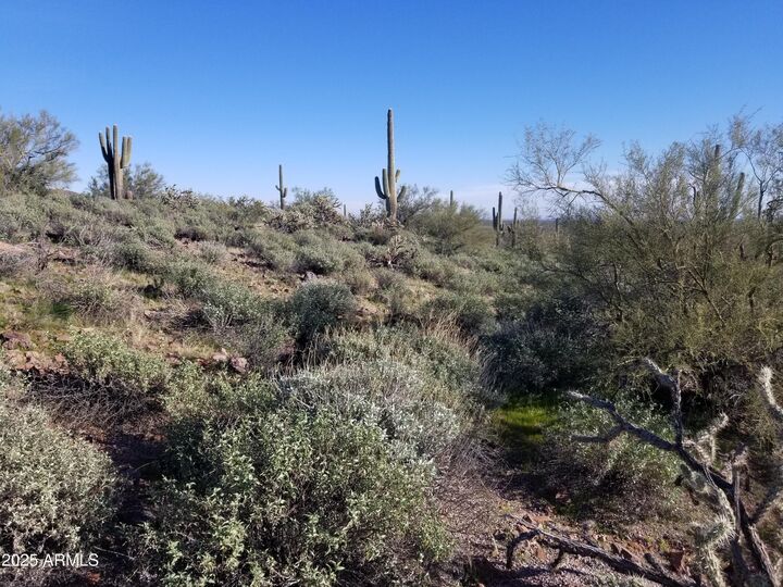 Property Photo: 43327 N Castle Hot Springs Road Top AZ 85342