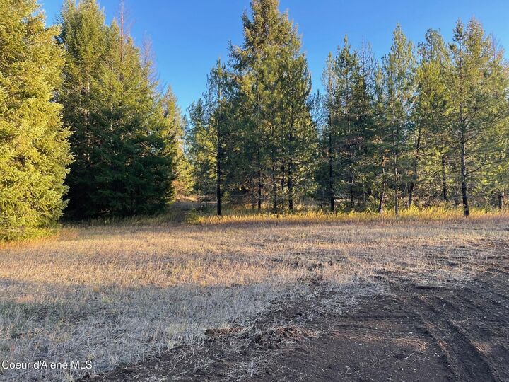 Property Photo:  Nka Hope Valley Rd 5 Acres  ID 83858