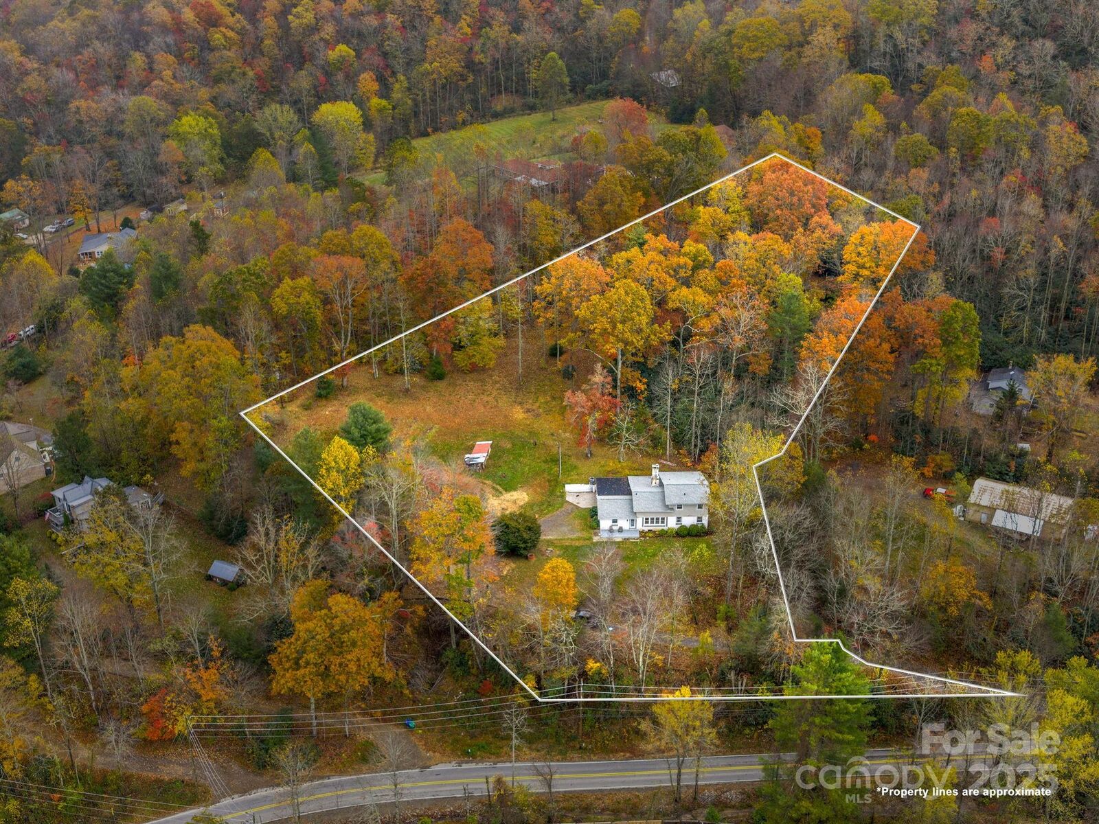 Property Photo:  6 Star Berry Lane  NC 28730