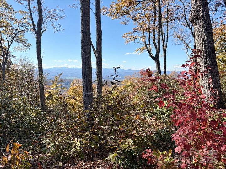 Property Photo:  Lot 64 Feather Stone Drive  NC 28732