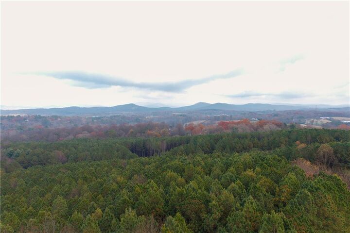 Property Photo: 0 Foxpaw Leaf Lane GA 30536