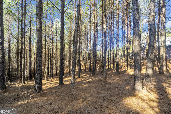 Property Photo:  0 Foxpaw Leaf Lane 38  GA 30536 