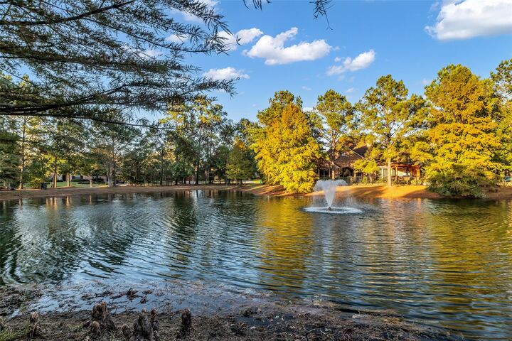 Property Photo:  10 Mason Pond Place  TX 77381 
