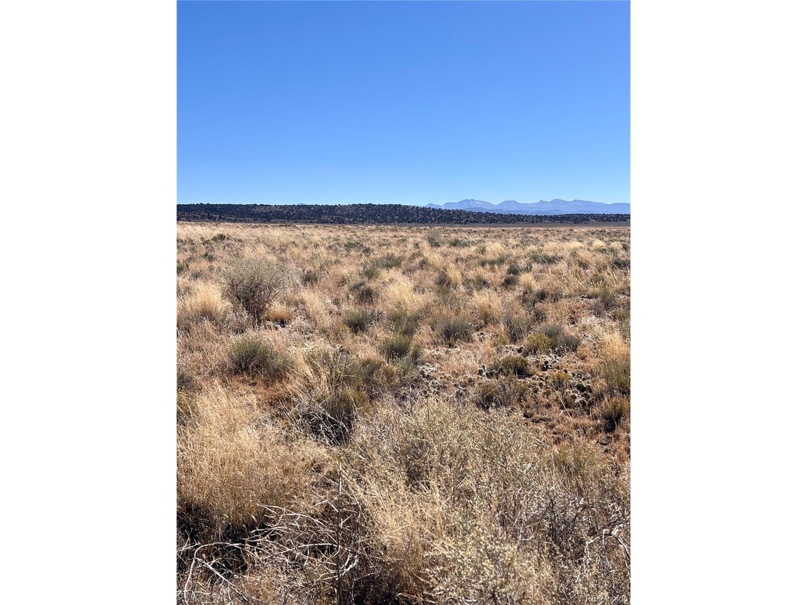 Property Photo:  5 10th St  CO 81123 