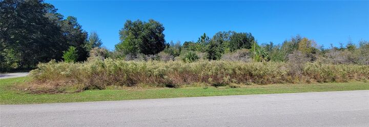 Property Photo:  0 SW 82nd Place  FL 34431 