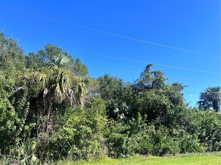 Property Photo:  6016 Jadestone Avenue  FL 33905 