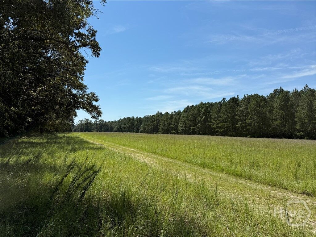 Property Photo:  0 Sunbury Road Tract 6  GA 30417 