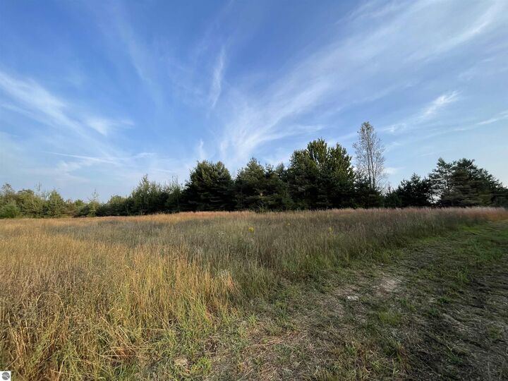 Property Photo:  V/L Parcel F E 18 1/2 Road  MI 49663 