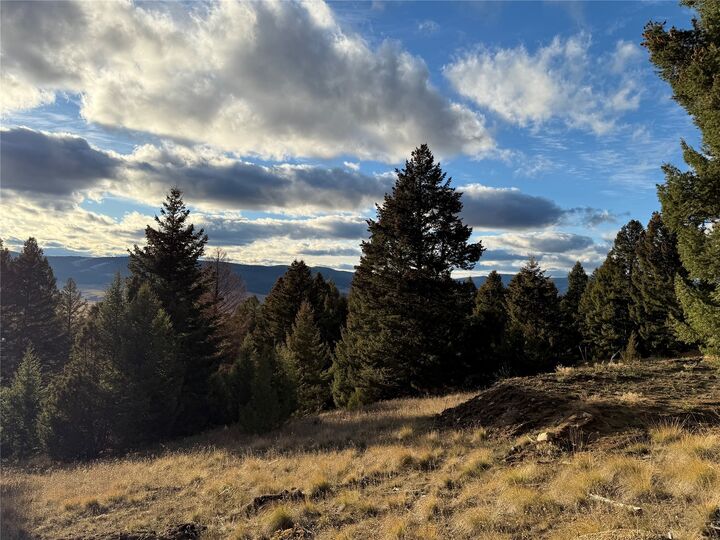 Property Photo:  Lot 3 Scranton Lode  MT 59858 