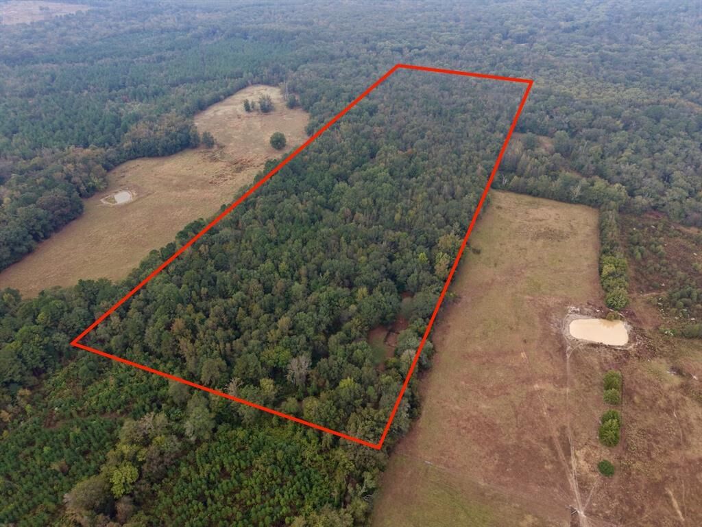 Property Photo: 339 County Road 3966 TX 75773