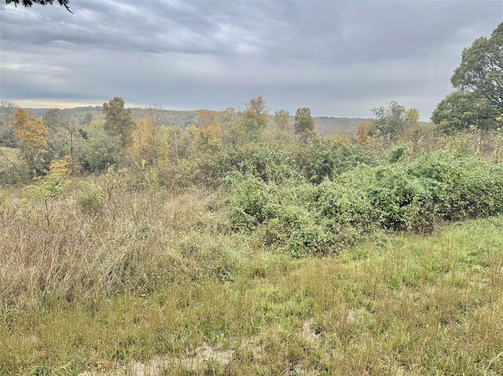 Property Photo: 8981 Woodburn Allen Springs Road KY 42122