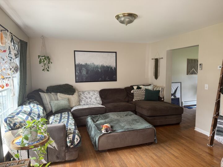 Property Photo:  11 Carpenter Street  CT 06360 