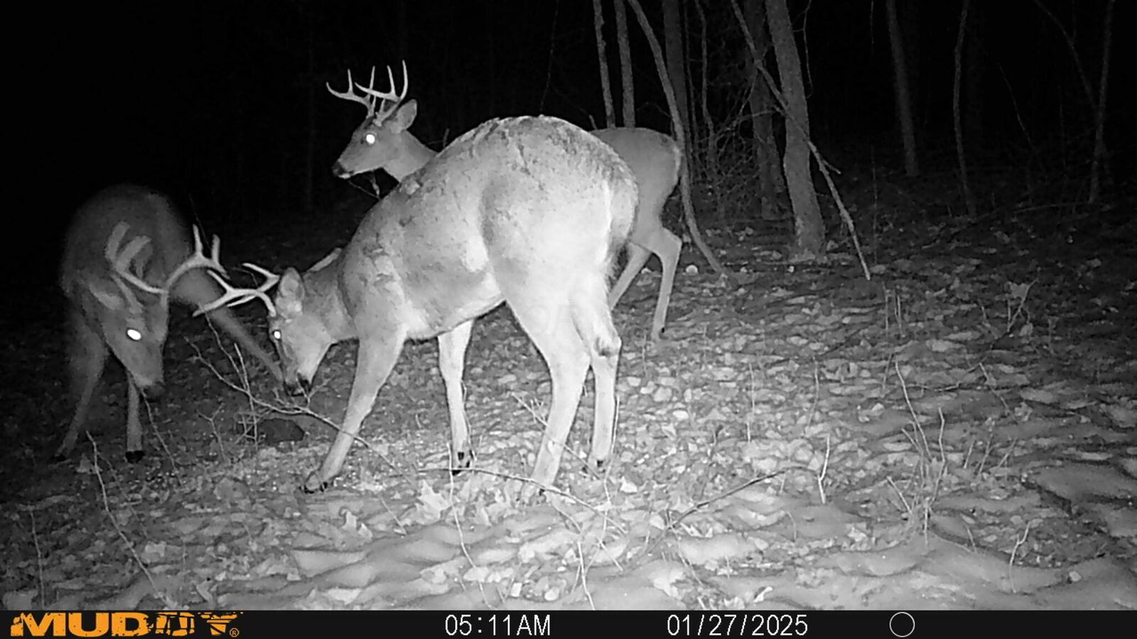 Property Photo:  0 Shannon Road  OH 43822 