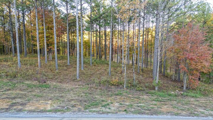 Property Photo:  0 Split Rail Way  TN 37340 
